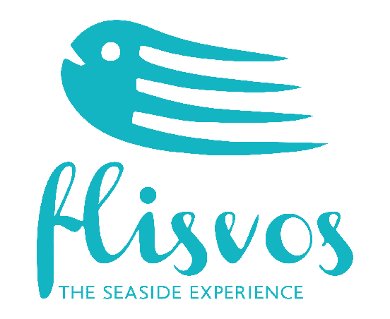 VECTOR_LOGO_FLISVOS-1-removebg-preview